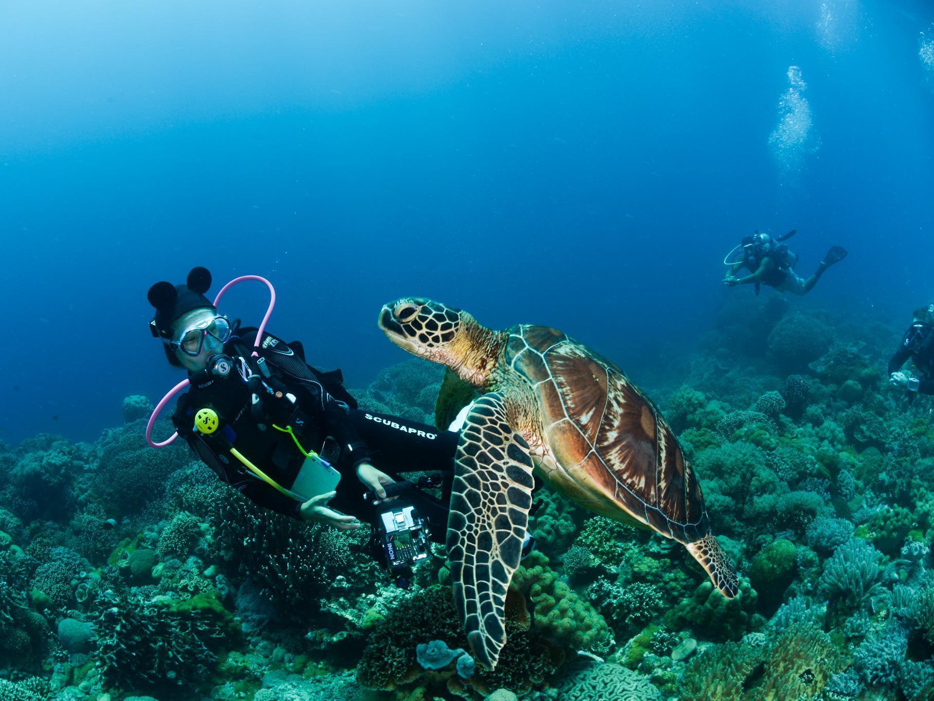 Bed and Breakfast Acqua Dive Zamboanguita  Екстер'єр фото